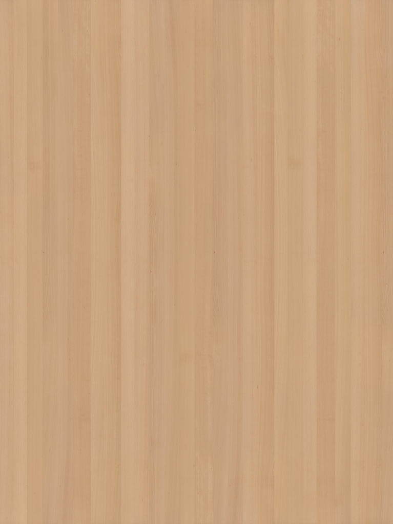 wood-006_beech-european-raw-300x400cm_d