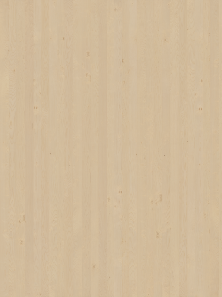 wood-010_birch-european-raw-300x400cm_d