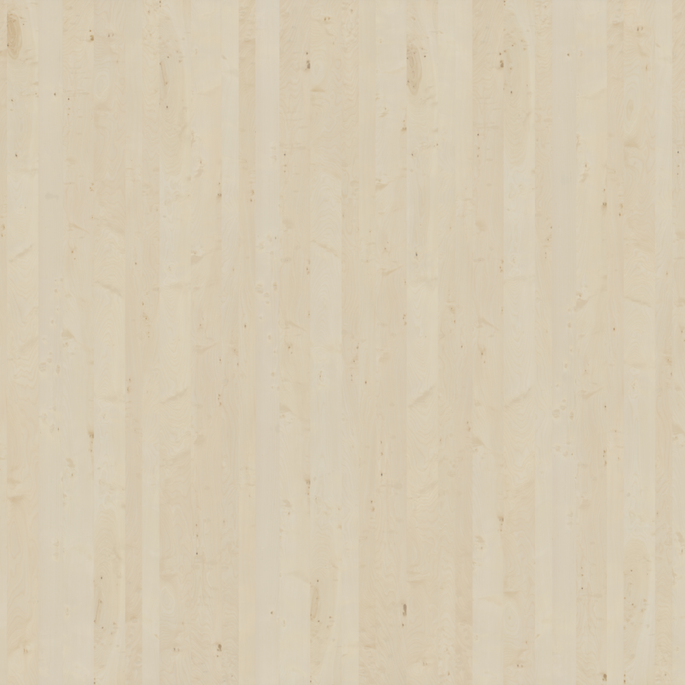 wood-011_birch-apple-raw-300x400cm_d