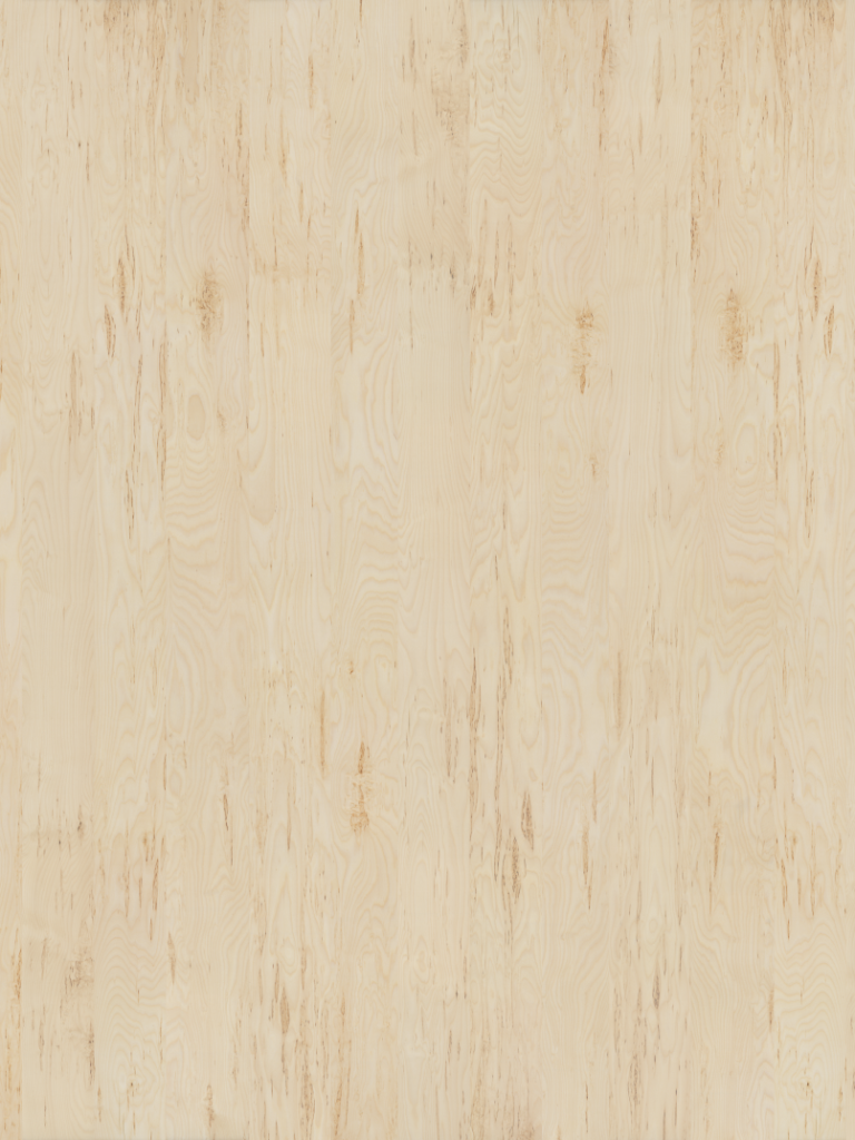 wood-012_birch-masers-raw-200x512cm_d