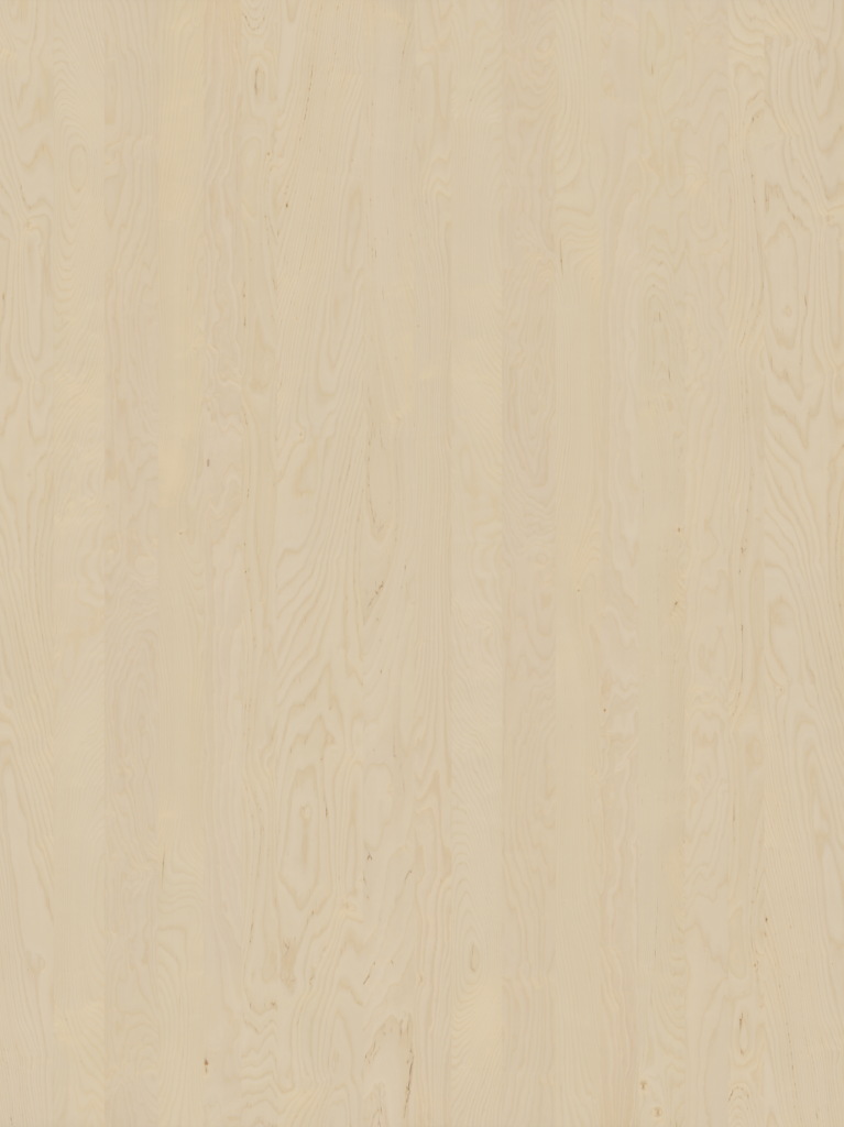 wood-013_birch-peeled-raw-300x400cm_d
