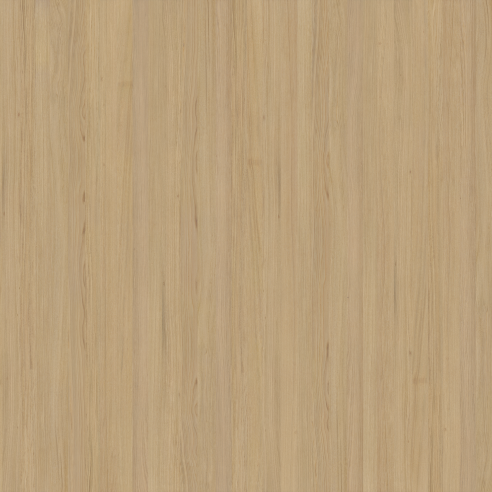 wood-024_oak-european-raw-300x400cm_d