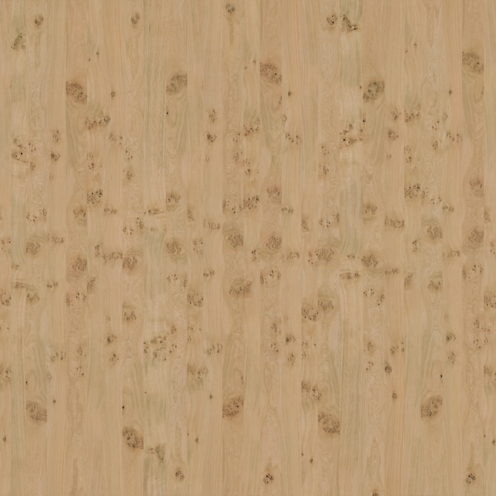 wood-027_oak-knot-raw-300x400cm_d