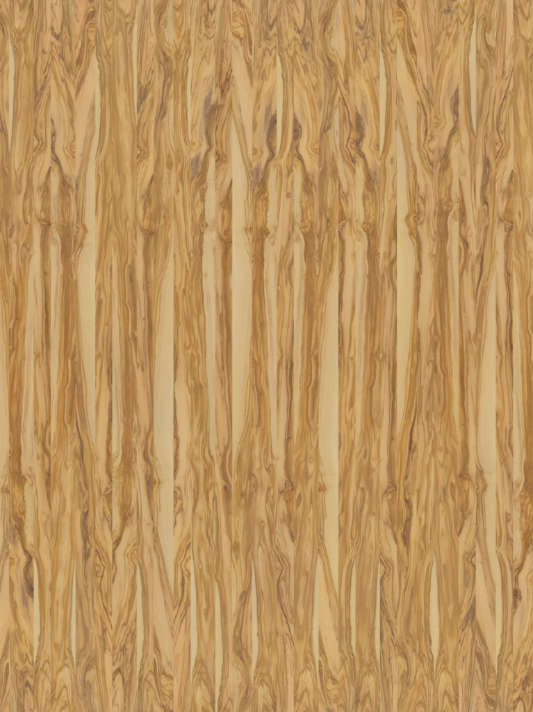 wood-029_olivetree-raw-300x400cm_d