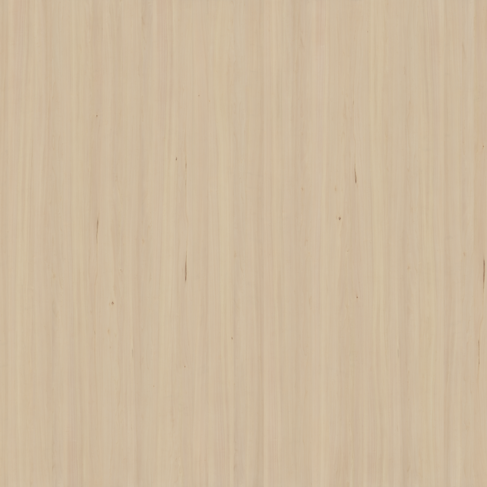 wood-032_poplar-black-raw-300x400cm_d