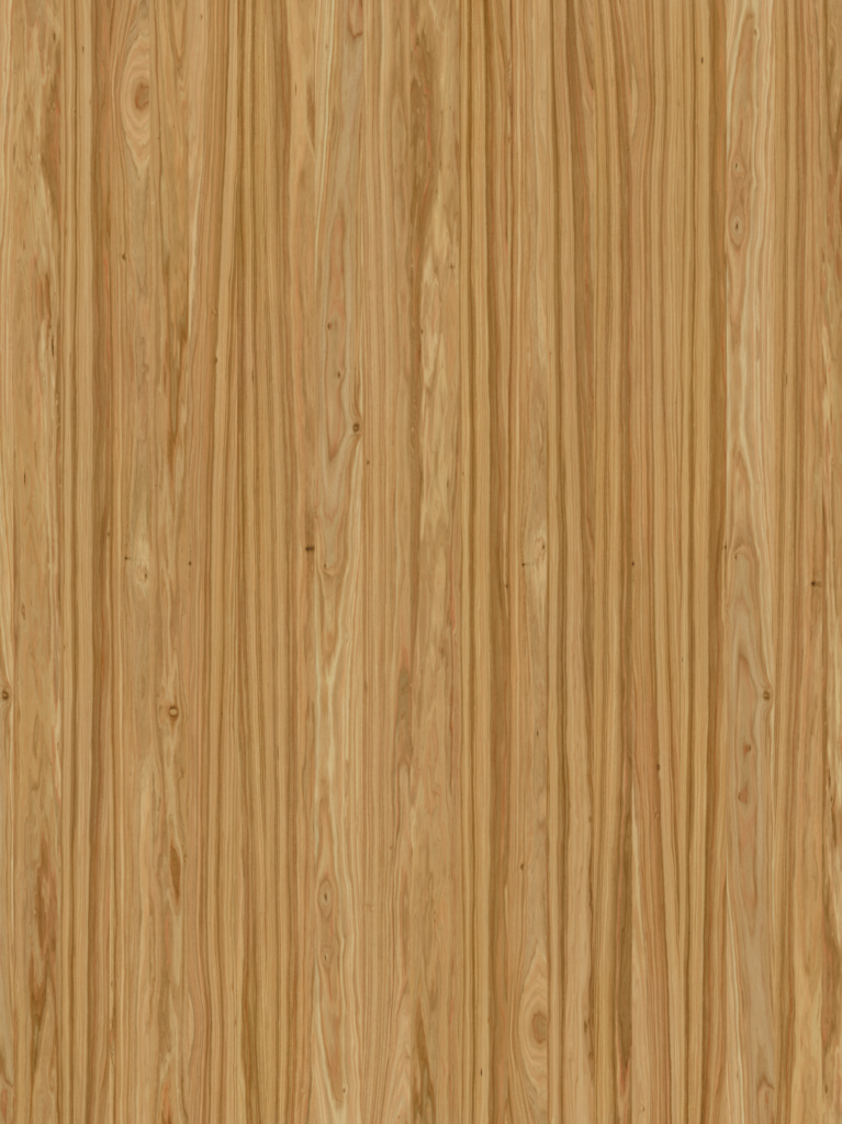 wood-093_macahuba-raw-300x400cm_d